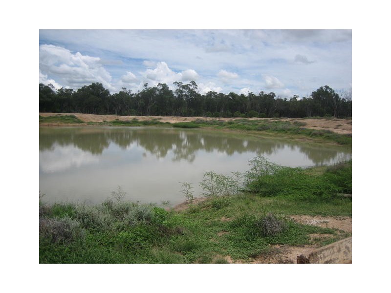 ” GARFIELD”, Jericho QLD 4728