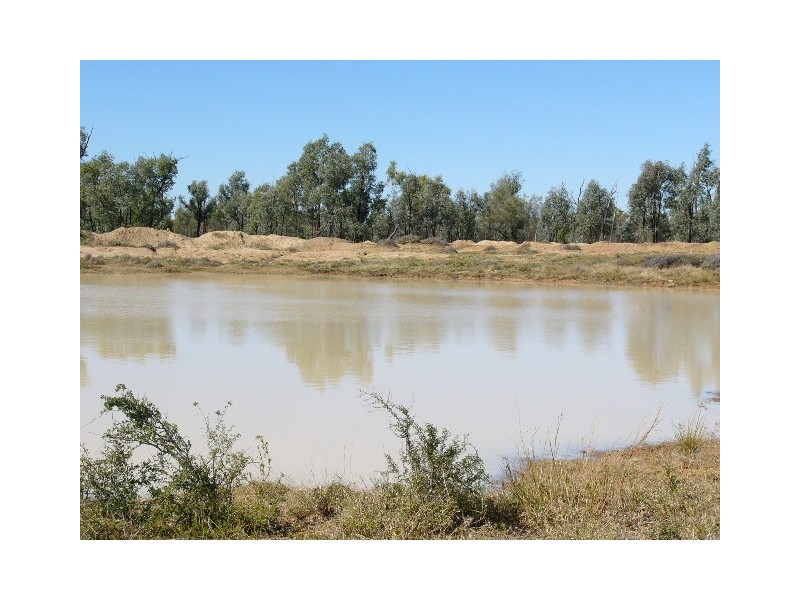 ” GARFIELD”, Jericho QLD 4728