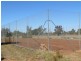 ” GARFIELD”, Jericho QLD 4728