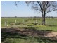 Taroom QLD 4420