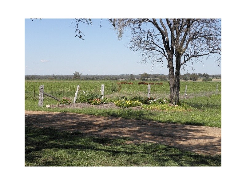 Taroom QLD 4420
