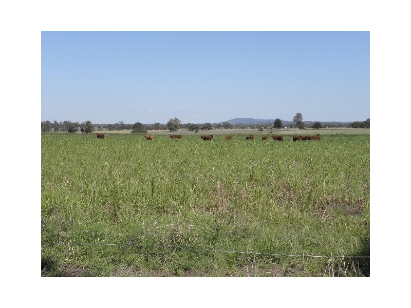 Taroom QLD 4420