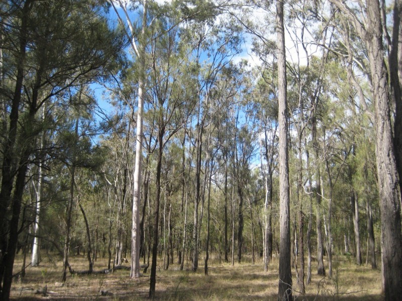 Jandowae QLD 4410
