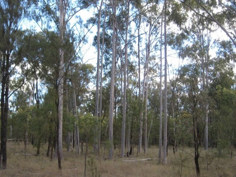 Jandowae QLD 4410