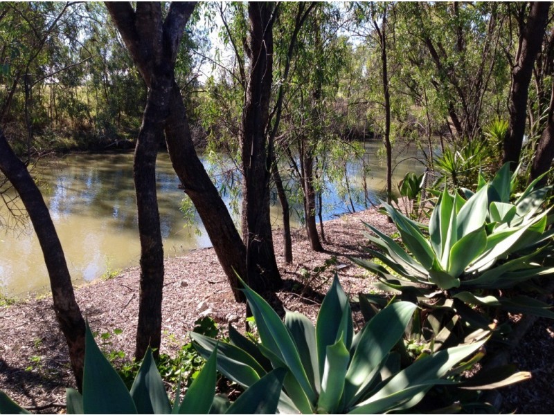 Goondiwindi QLD 4390