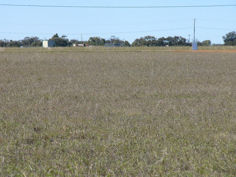 20 Ludwig Drive, Taroom QLD 4420