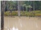 Miles QLD 4415