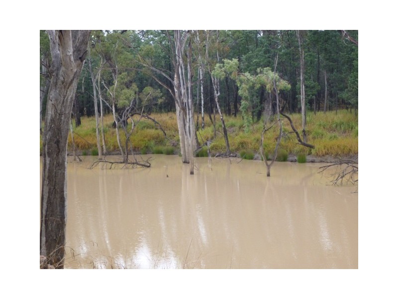 Miles QLD 4415