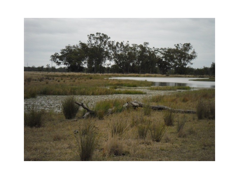 Jackson North QLD 4426