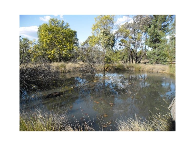 225 PADDY’S CREEK RD, Miles QLD 4415