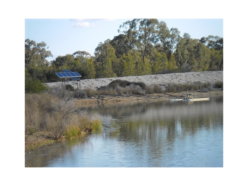 225 PADDY’S CREEK RD, Miles QLD 4415