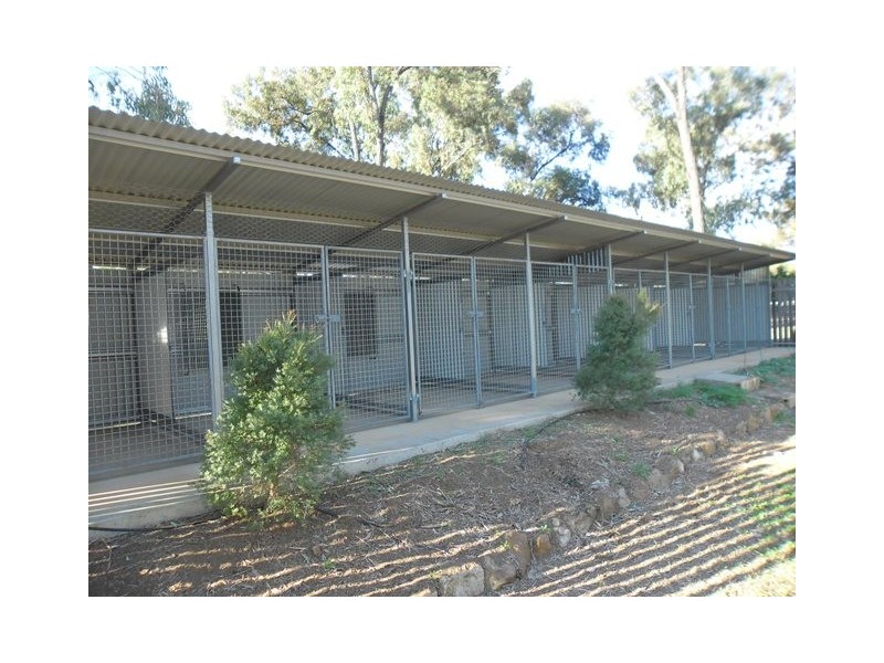 225 PADDY’S CREEK RD, Miles QLD 4415