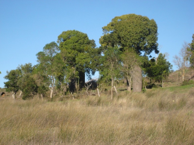 Bell QLD 4408