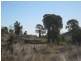 Bell QLD 4408