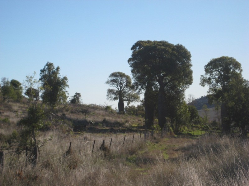 Bell QLD 4408