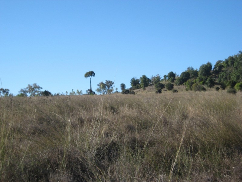 Bell QLD 4408