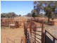 Cunnamulla QLD 4490