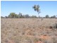 Cunnamulla QLD 4490