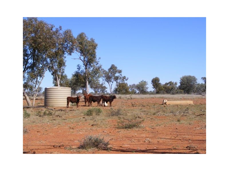 Cunnamulla QLD 4490