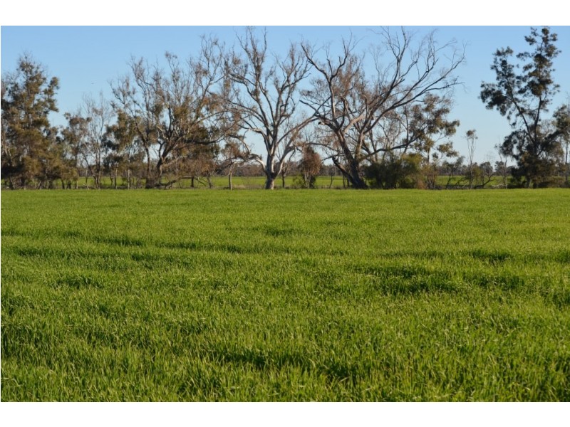 Goondiwindi QLD 4390