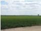 Cecil Plains QLD 4407