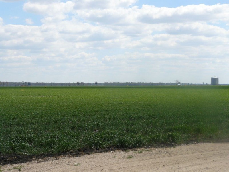 Cecil Plains QLD 4407