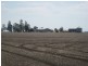 Cecil Plains QLD 4407