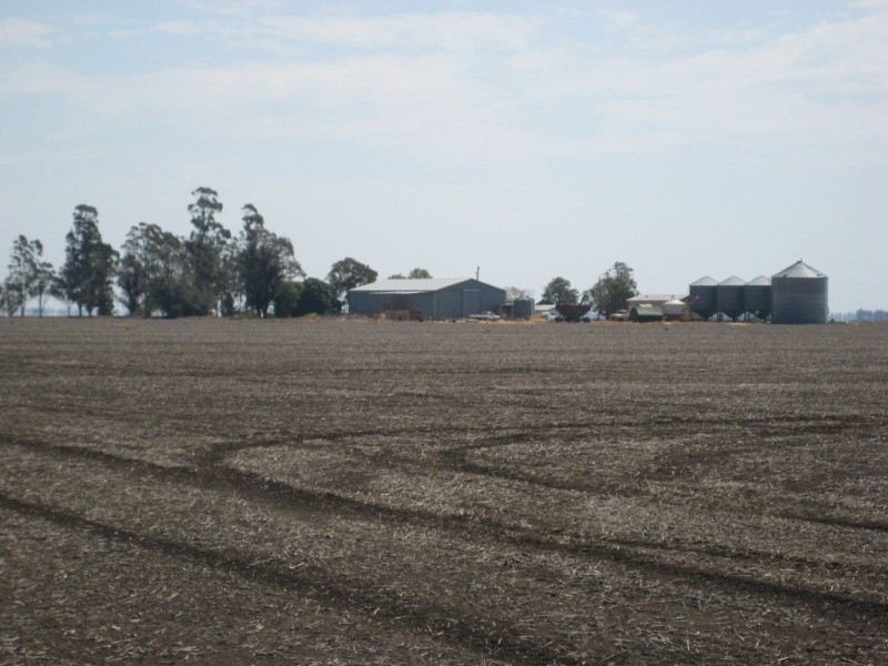 Cecil Plains QLD 4407