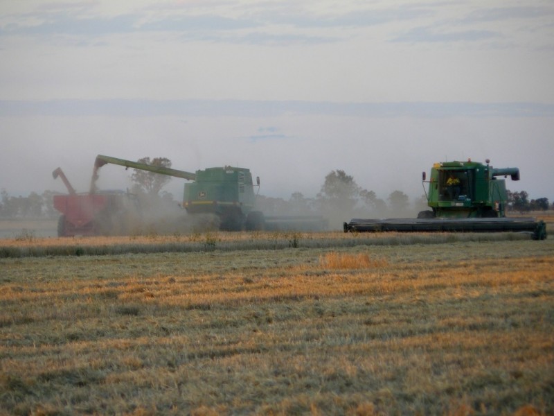 Cecil Plains QLD 4407