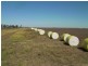 Cecil Plains QLD 4407