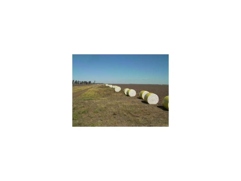 Cecil Plains QLD 4407