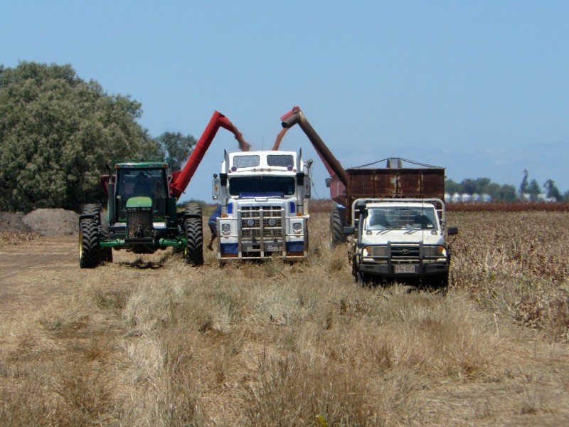 Cecil Plains QLD 4407