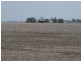 Cecil Plains QLD 4407