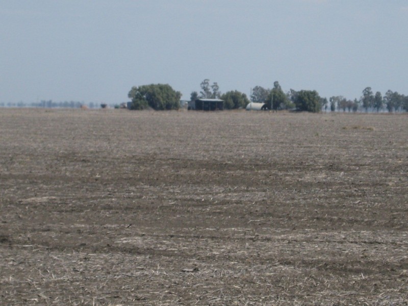 Cecil Plains QLD 4407