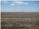 Cecil Plains QLD 4407