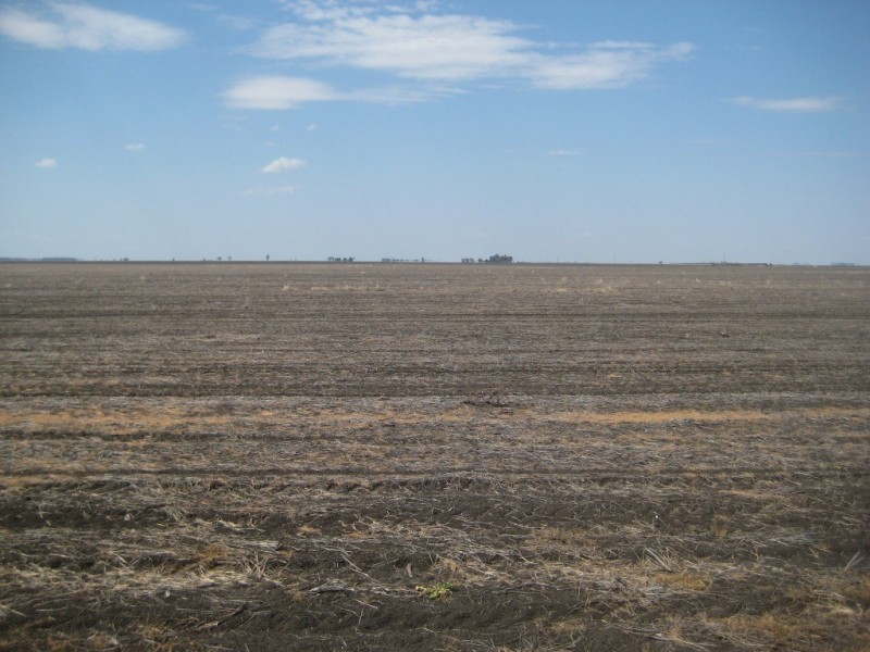 Cecil Plains QLD 4407