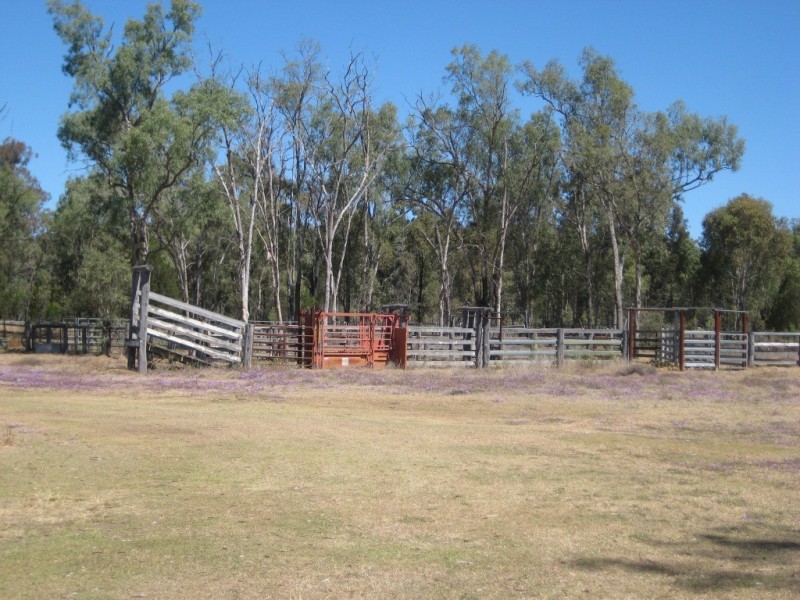 Cecil Plains QLD 4407