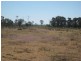 Cecil Plains QLD 4407