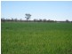 Cecil Plains QLD 4407