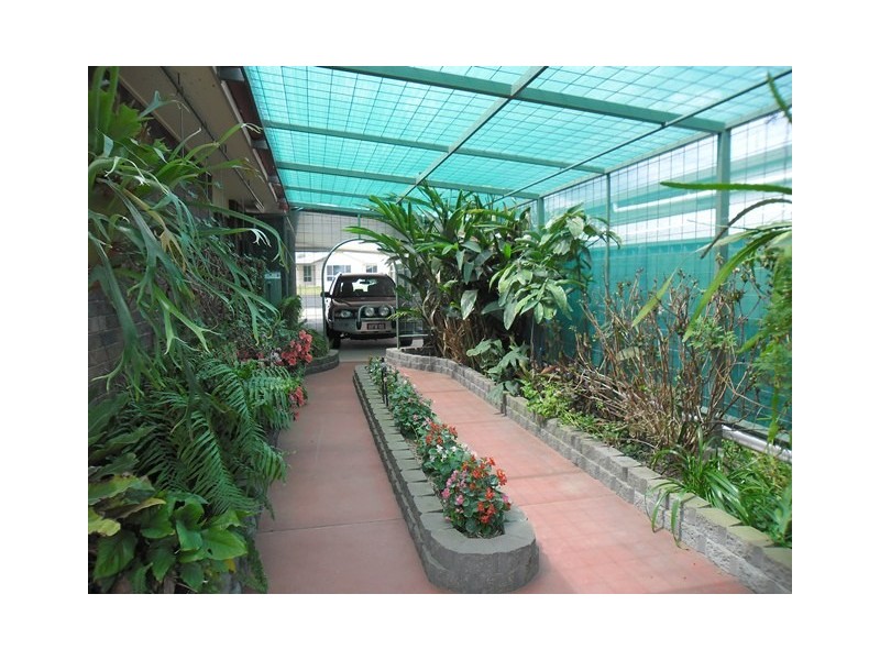 19 LEE ST, Miles QLD 4415