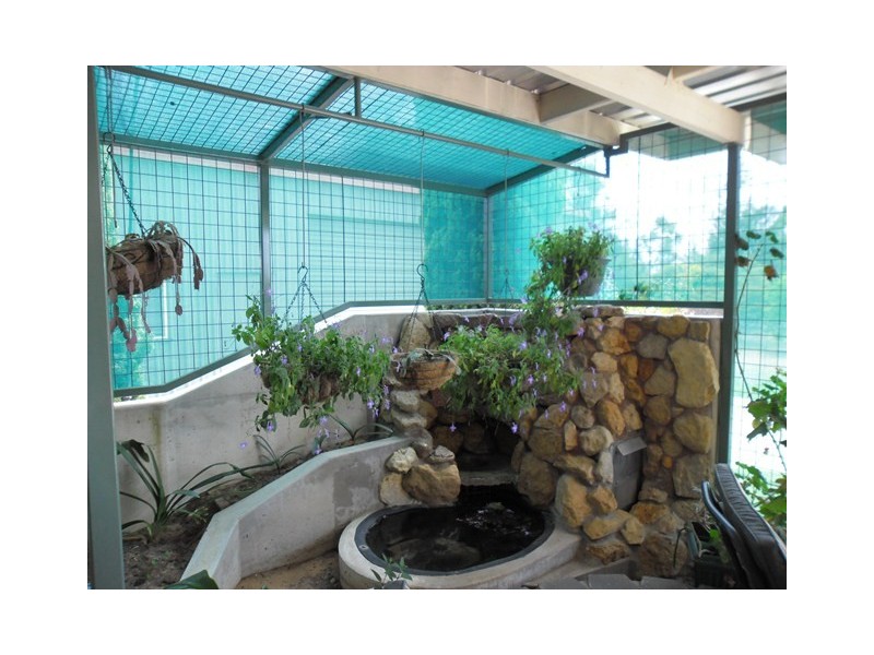 19 LEE ST, Miles QLD 4415