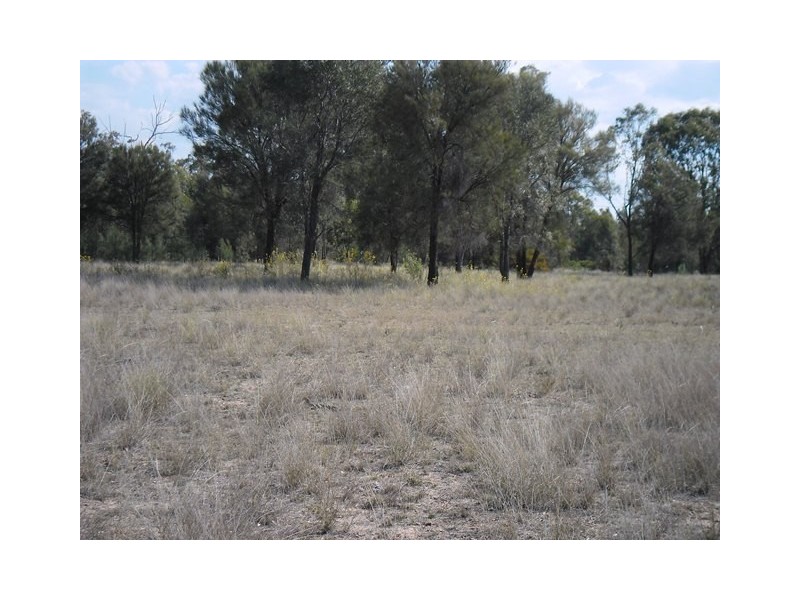 175 OLD CAMEBY ROAD, Miles QLD 4415