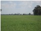 Moonie QLD 4406