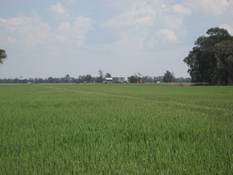 Moonie QLD 4406
