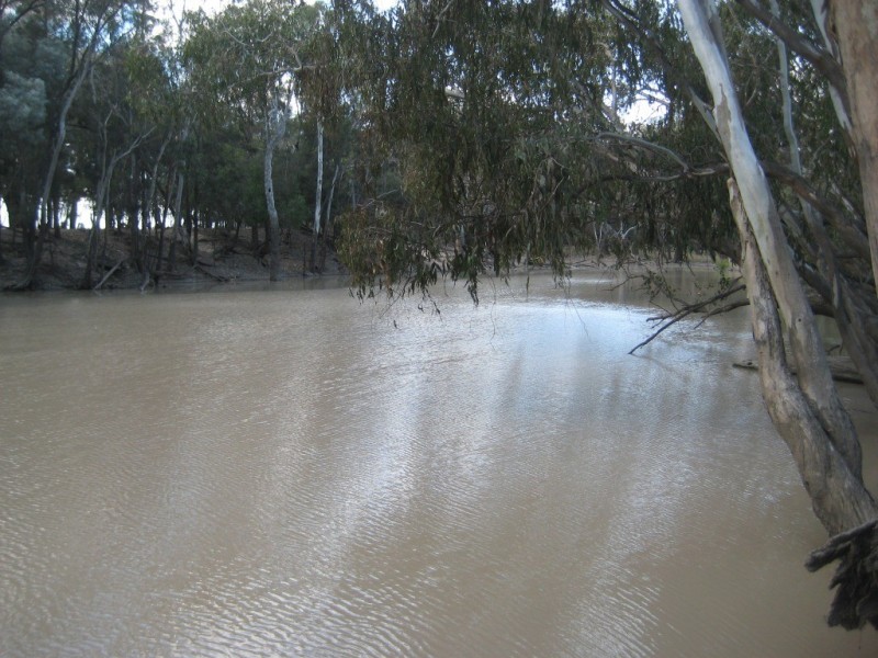Moonie QLD 4406