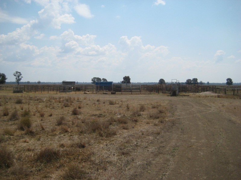 Moonie QLD 4406