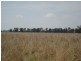 Moonie QLD 4406
