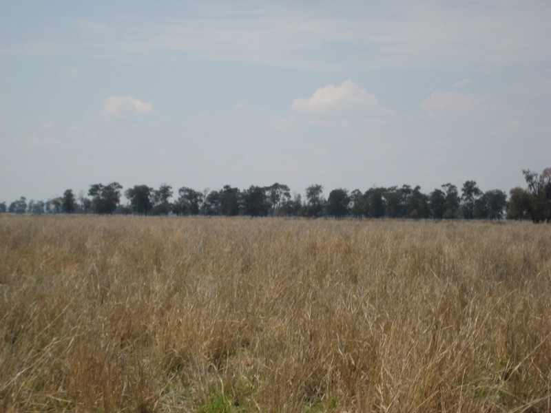 Moonie QLD 4406
