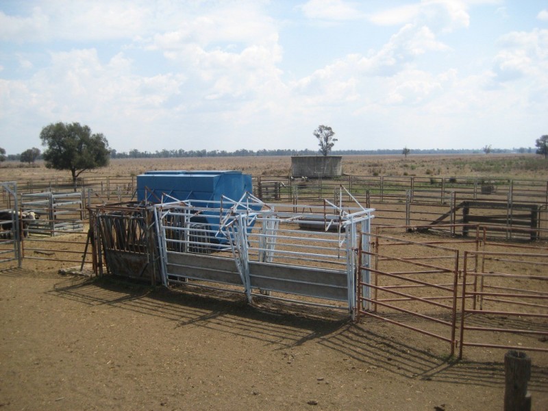 Moonie QLD 4406