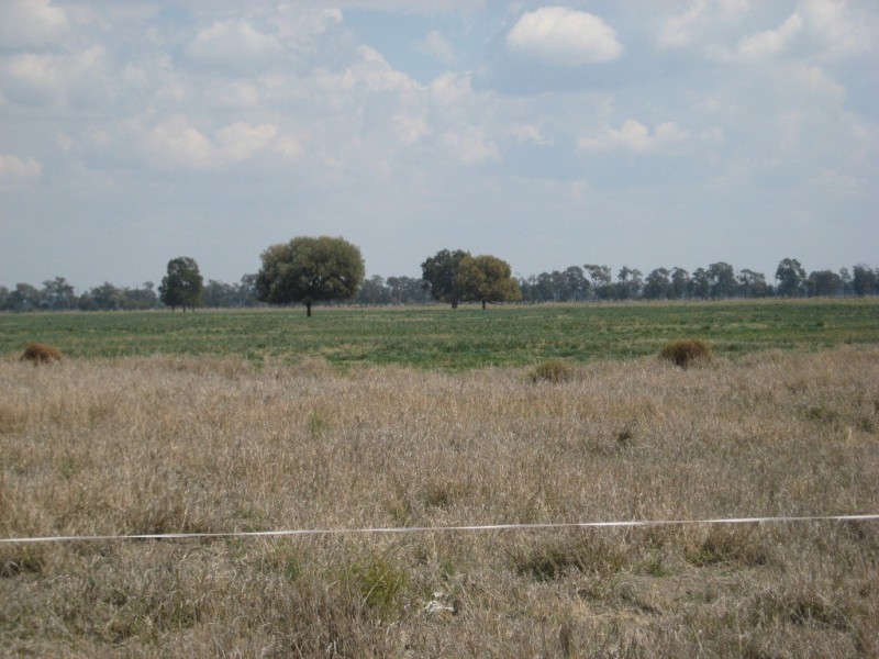 Moonie QLD 4406